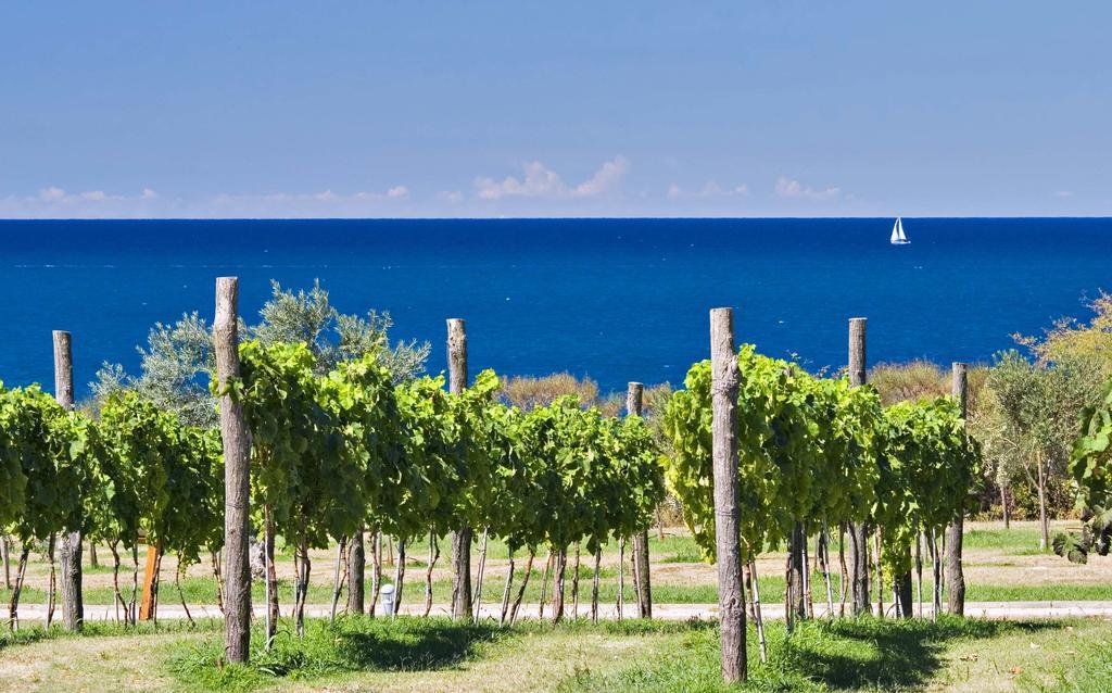 Mobile Homes Premium Vista Mare Park Umag By Camp4You Exterior foto